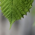 dsc03169