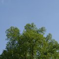 dsc03172