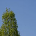 dsc03173