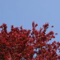 dsc03231