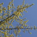 dsc03239