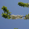 dsc03261