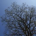 dsc03264