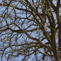 dsc03266