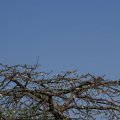 dsc03284