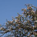 dsc03286