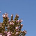 dsc03335