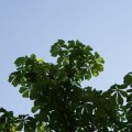 dsc03347