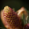 dsc03508