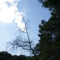 dsc04313