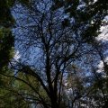 dsc04316