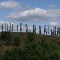 dsc04329