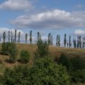 dsc04330