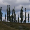 dsc04338