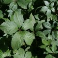 dsc04360