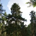 dsc04363