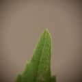 dsc04378