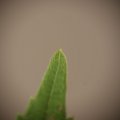 dsc04379