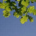 dsc04409