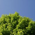 dsc04410