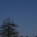 dsc04532
