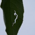 dsc04663