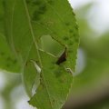 dsc04664