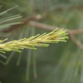 dsc04820