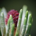 dsc04873