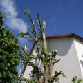 dsc04936