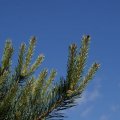 dsc04941