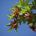 dsc05014