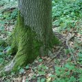dsc05336
