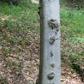 dsc05370