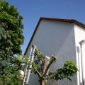 dsc05588
