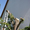 dsc05589