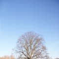 dsc05937