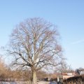 dsc05939
