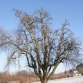 dsc05959