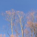 dsc05965