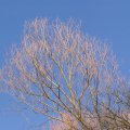 dsc05968