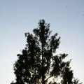 dsc06797