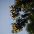 dsc07618