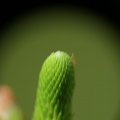 dsc08073