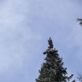 dsc08676