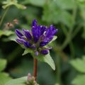 dsc03191