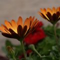 dsc03192