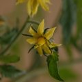 dsc03194