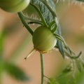 dsc03195