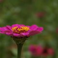 dsc03488